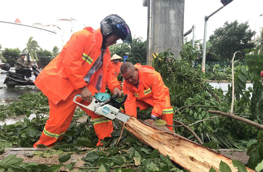 13日，受台风“圆规”影响，环卫工人对刮倒的树木进行割切。海口市园林和环卫系统供图