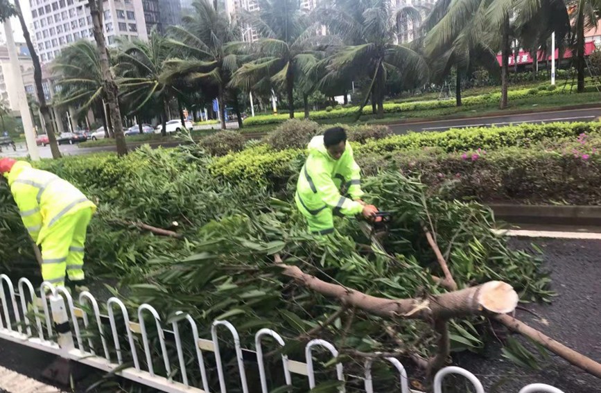 13日，海口环卫工人清理倒伏树木。海口市园林和环境卫生管理局供图
