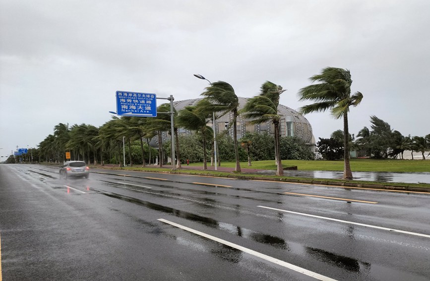 台风“圆规”过境海南，海口街头树木被吹弯。海口市园林和环境卫生管理局供图