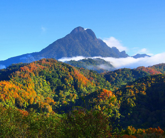 海南热带雨林国家公园