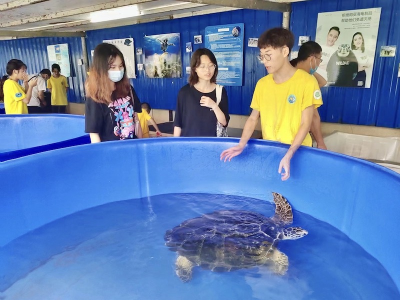 生态院同学讲解海龟保护知识。海南师范大学海龟救助站 曾丽芹摄