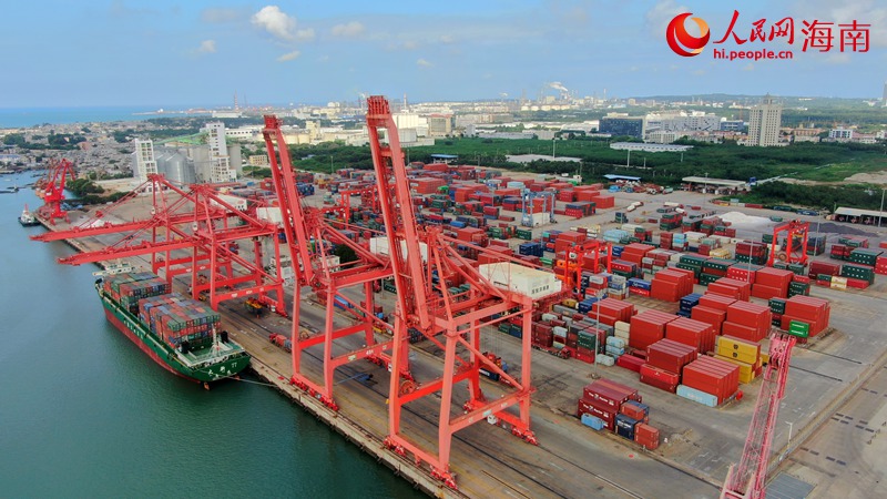 在国投洋浦港，货船正在装卸货物。人民网 符武平摄