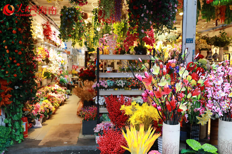 在海口博爱南街道，商家摆出新春花卉供消费者挑选。 人民网 孟凡盛摄