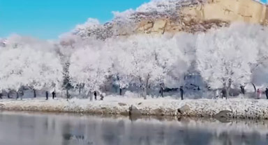 2分钟回顾冬日中国美景