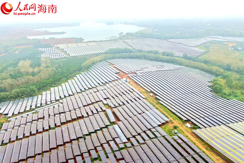 航拍海口菜篮子信义光伏龙湾农光互补常年蔬菜种植基地。 人民网 孟凡盛摄