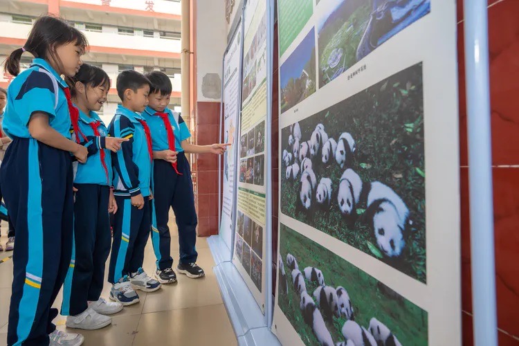 海口市东山镇中心小学以大熊猫知识科普宣讲活动为学生开启新学期第一课。李冬林摄