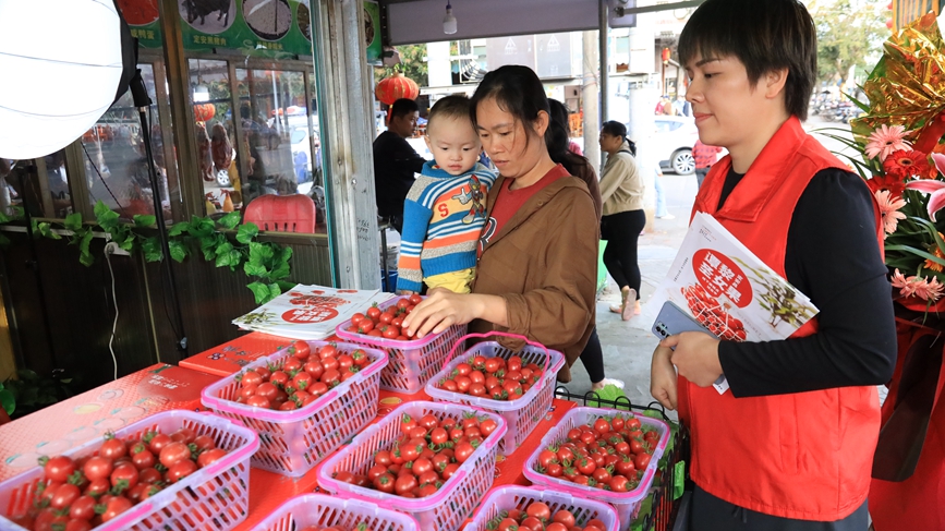 市民选购圣女果。胡雄飞摄