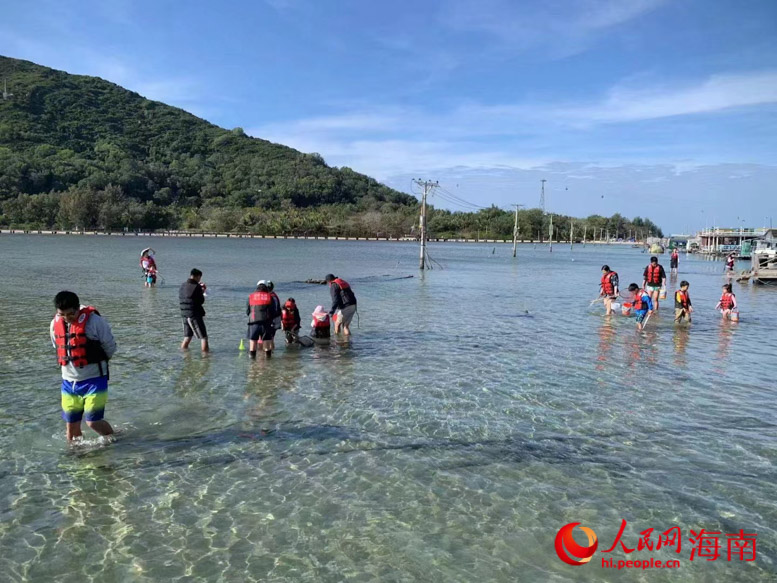 游客在退潮时分赶海。受访者供图