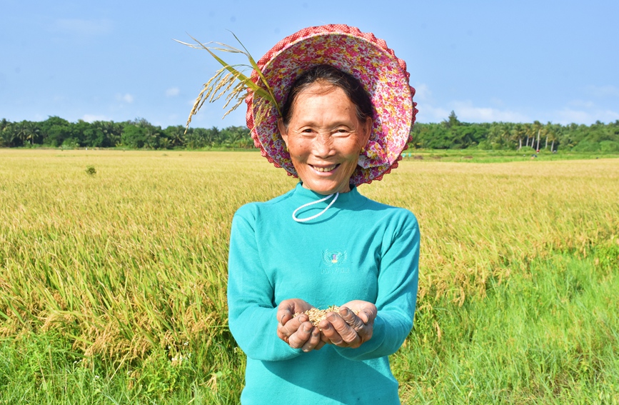 水稻喜获丰收，村民笑开颜。冯静雯摄