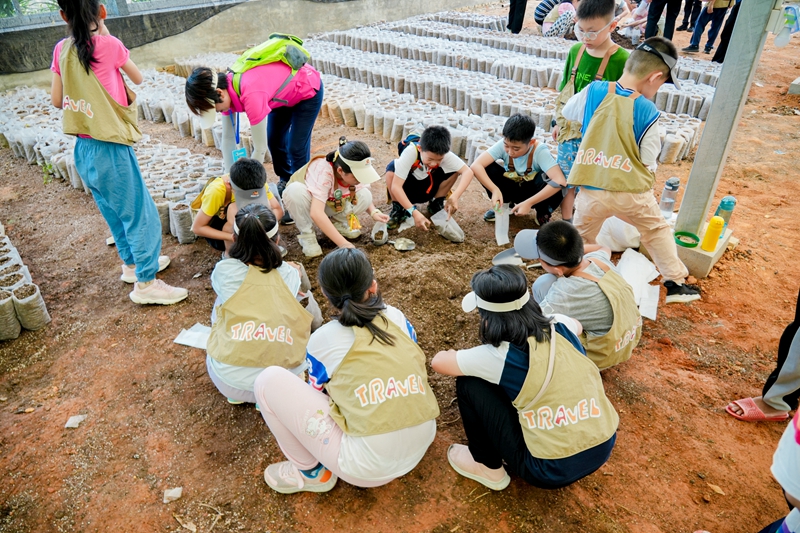 营员们在苗圃观察可可种子培育过程。兴隆热带植物园供图