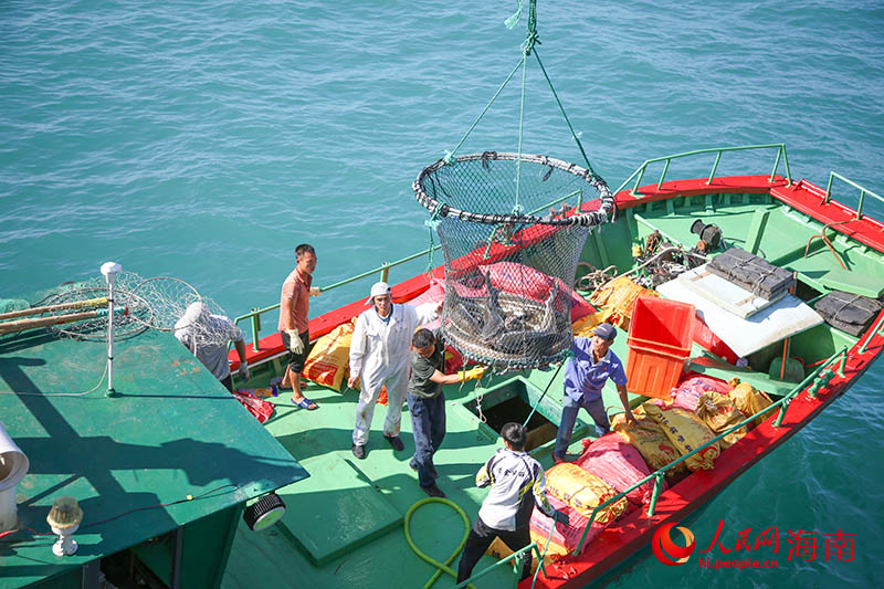 工作人员将刚捕捞出水的鱼装入船舱。人民网记者 牛良玉摄
