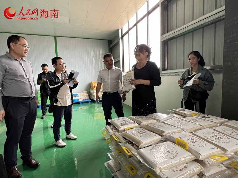 王婷（右二）介绍公坡香米种植和加工情况。人民网记者 李学山摄