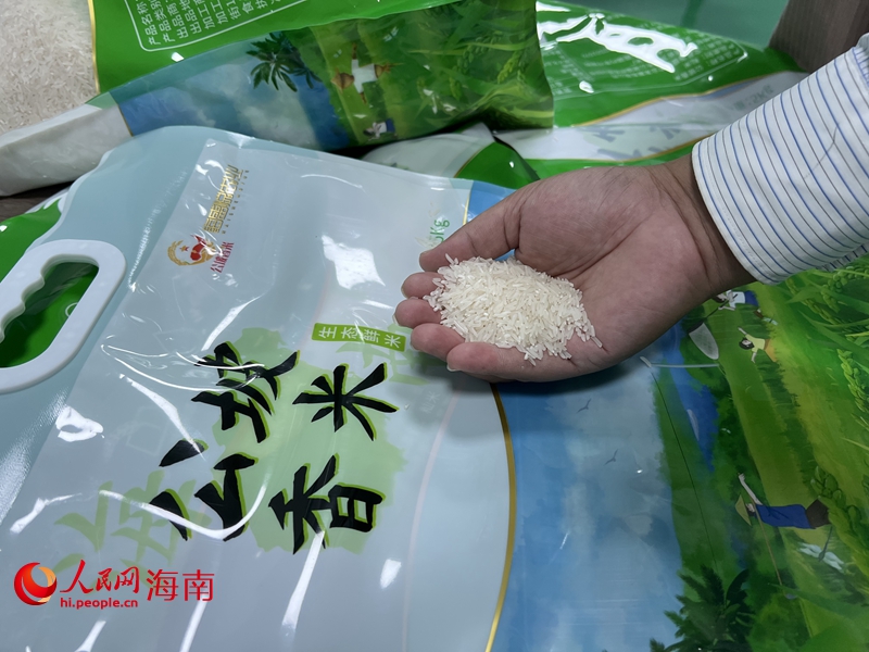 公坡香米已经成为当地乡村振兴新名片。人民网记者 李学山摄