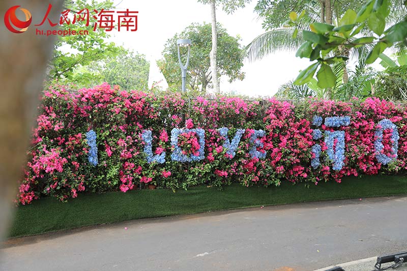 “I Love海口”花墙大型装置。 人民网记者 孟凡盛摄