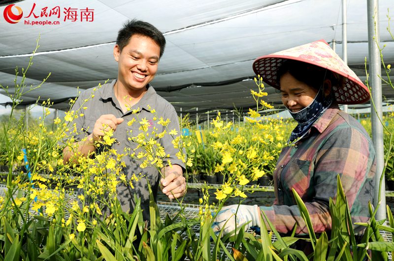 兰花盛开，农民的幸福写在脸上。人民网记者 符武平摄