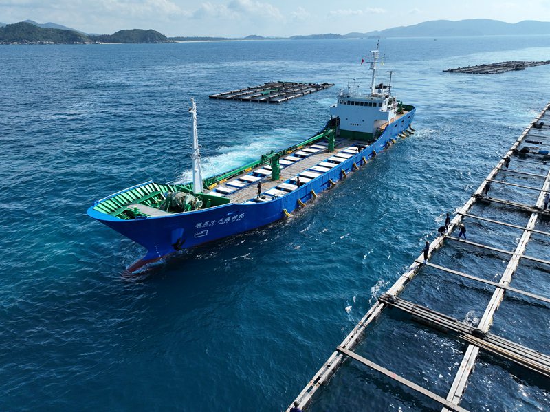 日本船舶靠泊装运鱼苗。符开雄摄
