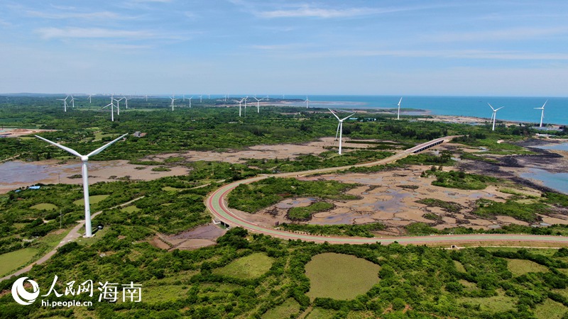 儋州峨蔓火山岩海岸的绿色美景。人民网记者 符武平摄