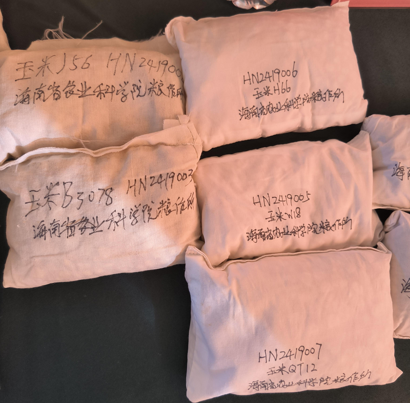 “太空种子”