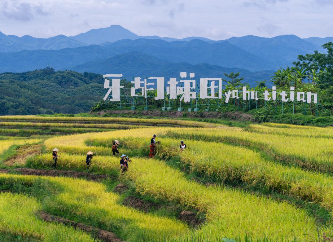 三亚经济圈乡村旅游主题线路途经旅游点。三亚市旅游和文化广电体育局供图