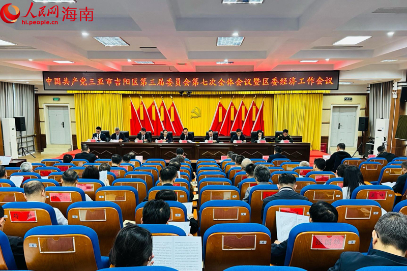 中国共产党三亚市吉阳区第三届委员会第七次全体会议暨区委经济工作会议召开。人民网 熊淑婷摄