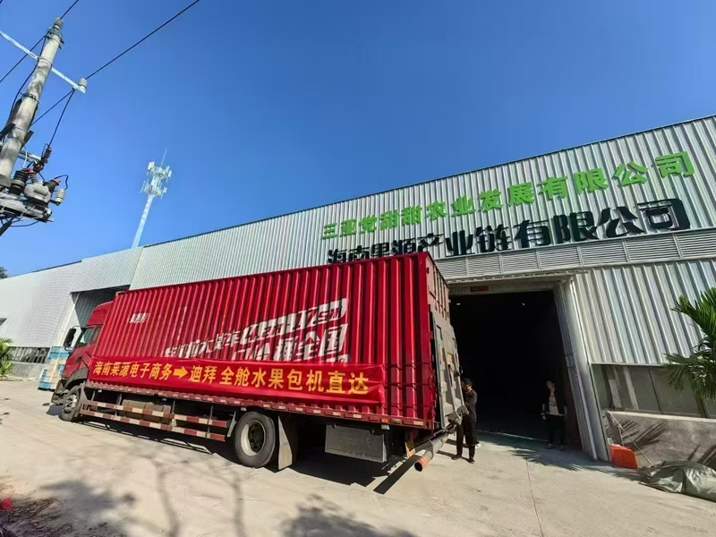 三亚特色果蔬通过包机送往迪拜。三亚市农业农村局供图