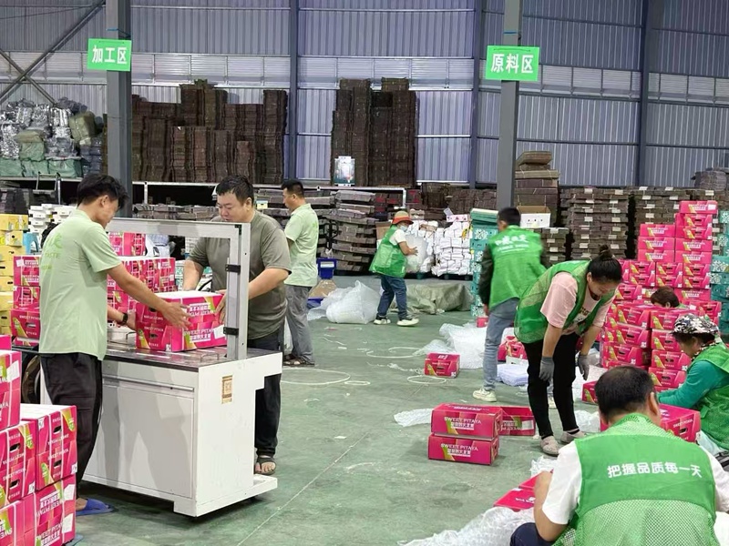 三亚特色果蔬通过包机送往迪拜。三亚市农业农村局供图