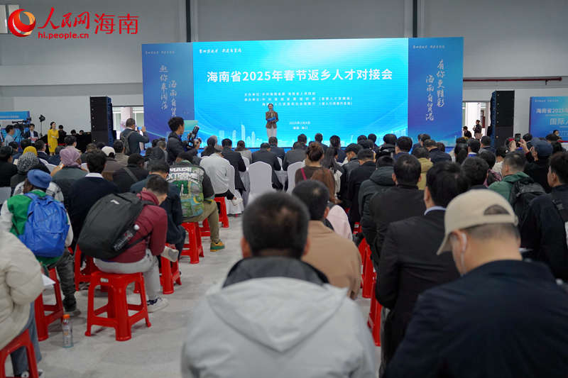 海南省2025年春节返乡人才对接会现场。 人民网记者 孟凡盛摄12.JPG