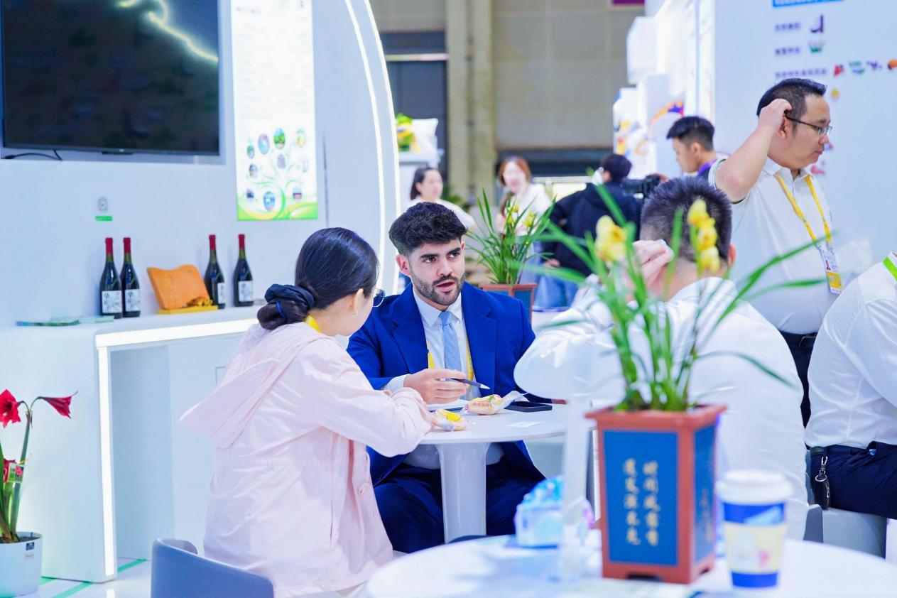 商务洽谈。主办方供图