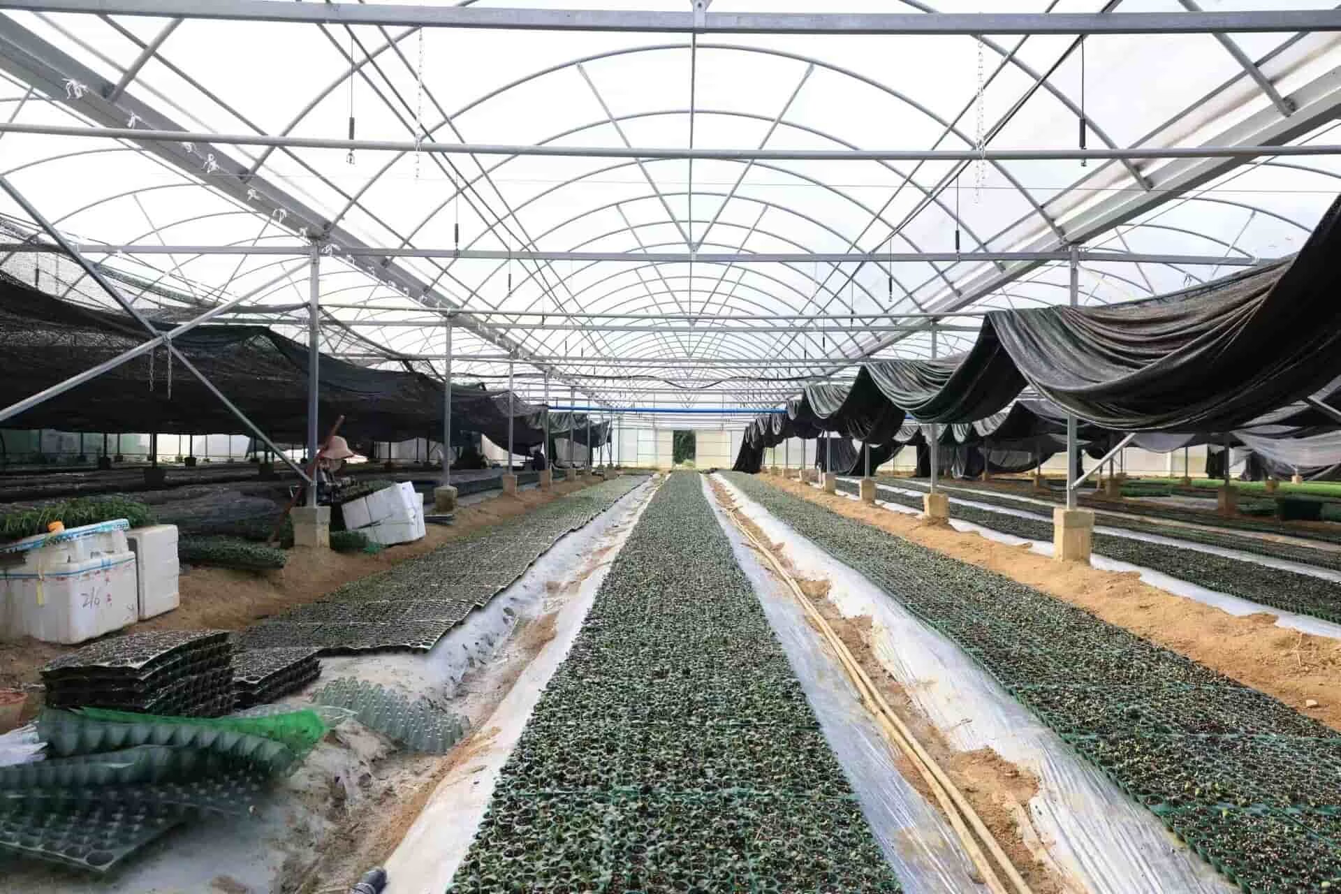 育才生态区那受村的蔬菜大棚。三亚市农业农村局供图
