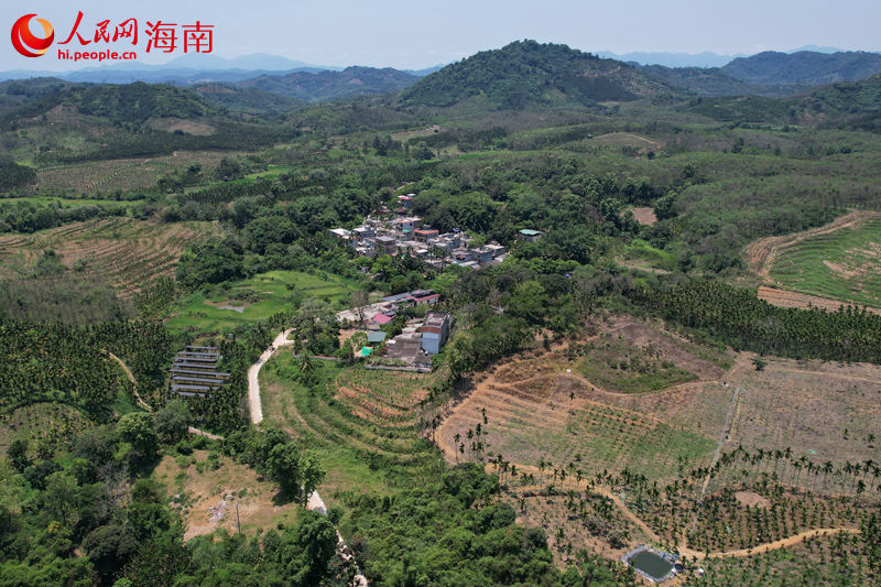 琼中黎族苗族自治县长征镇深联村。 人民网记者 孟凡盛摄.JPG