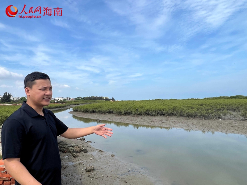 林宏政介绍红树林保护修复成效。人民网记者 李学山摄.jpg