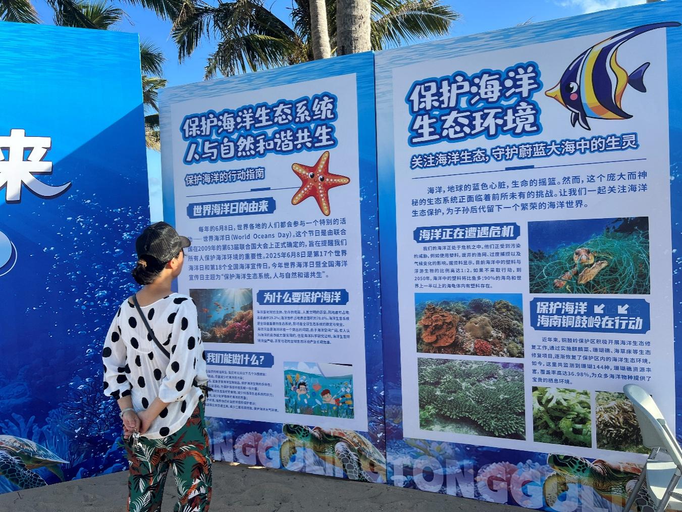 游客阅读海洋知识科普展板。主办方供图