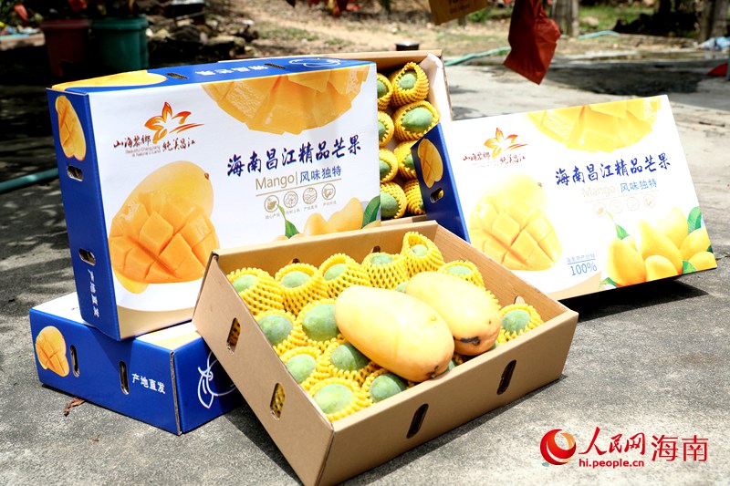 江芒果品牌。人民网记者 符武平摄