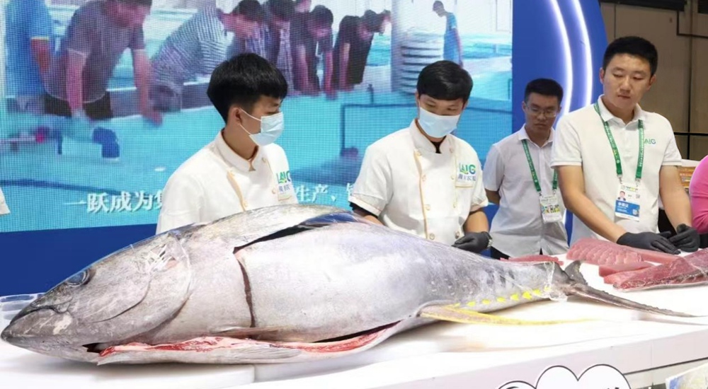 下一个目标→金枪鱼自由