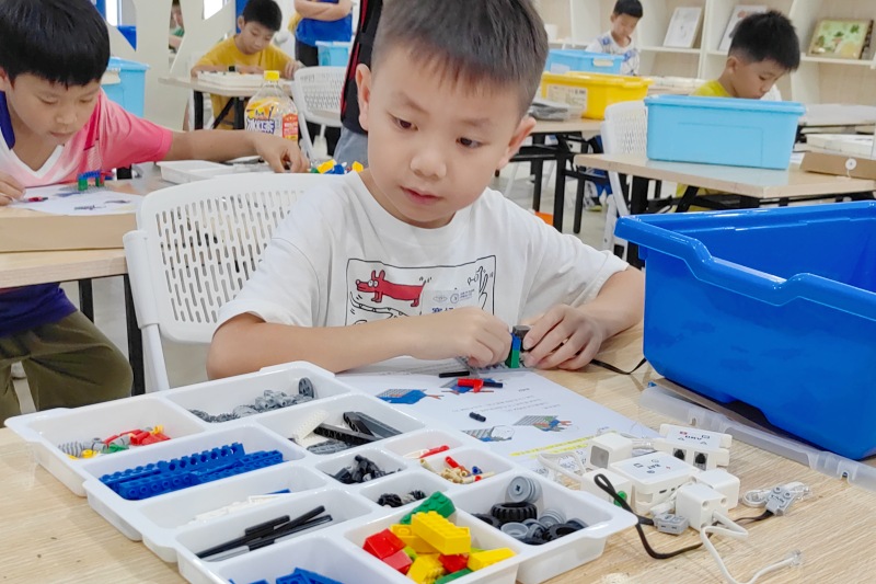 比赛现场。 主办方供图