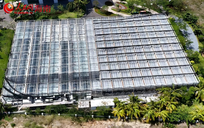 俯瞰月亮岛植物隔离苗圃。人民网记者 符武平摄