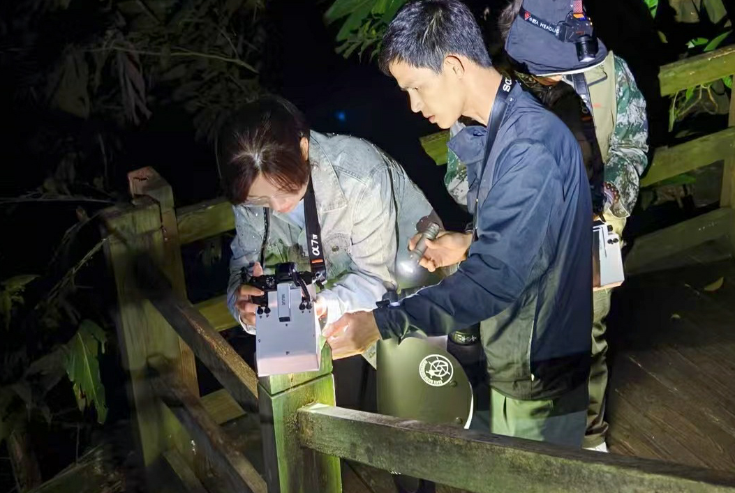 郑燕与同事们“探秘”雨林生灵的点滴。 受访者供图