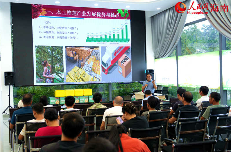 三亚市育才生态区优旗大嘴鸟榴莲一号基地内组织相关培训。 人民网记者 孟凡盛摄