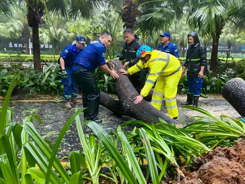 三亚吉阳蓝天救援队24日下午归队备勤途中，协助交警清理被台风天刮倒的大树。三亚吉阳蓝天救援队供图