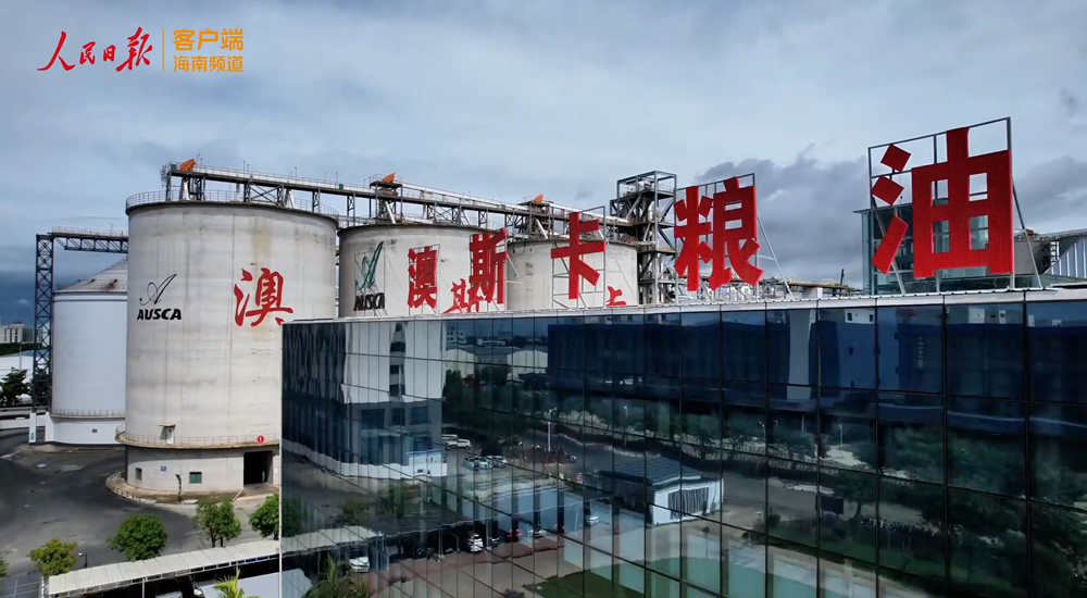 一家“管饱”的企业，如何与自贸港极具含金量的政策结缘？