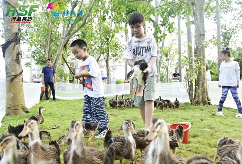 孩子们在海南热带野生动植物园与动物互动。海口旅文局供图