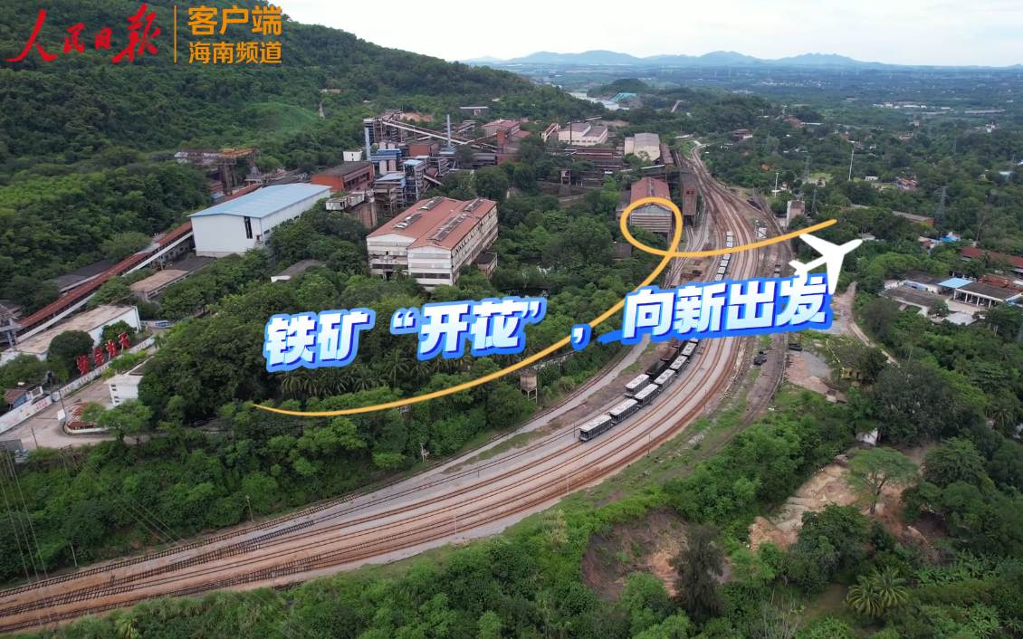 海之南·自贸港看收获丨铁矿“开花”，向新出发