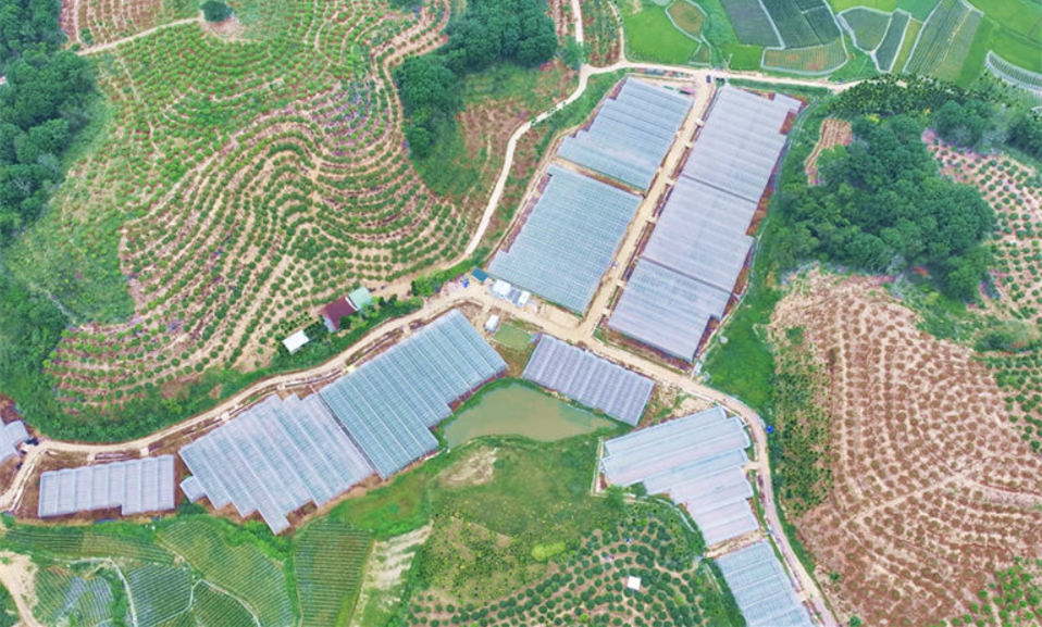 一副“对联”里的产业“蝶变”密码