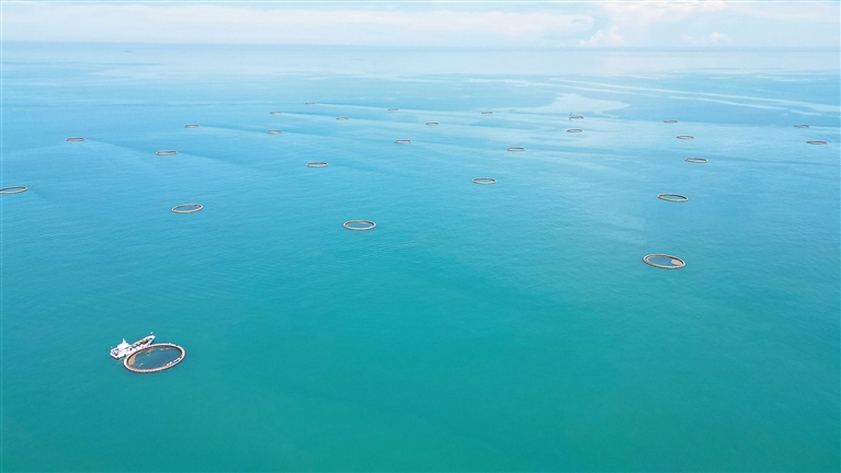 儋州：“链”出农业产业新图景