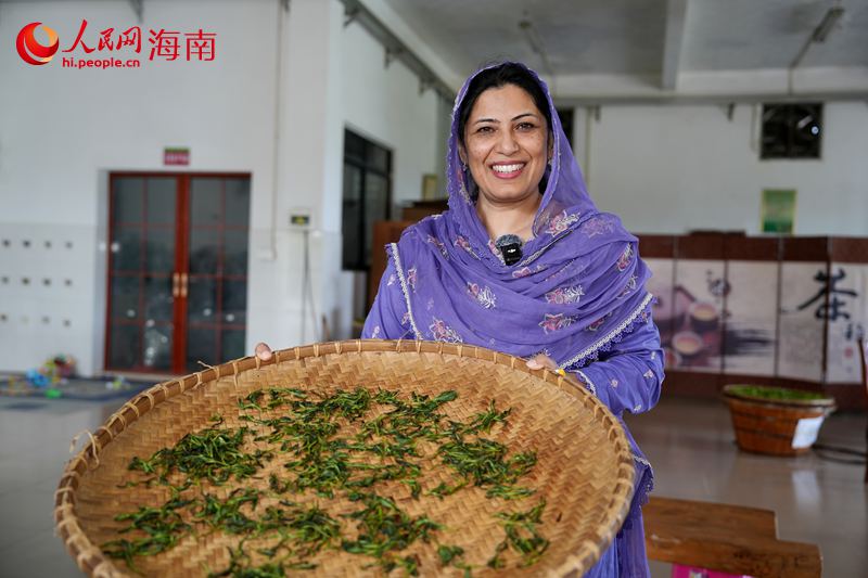 人民网外语专家在体验炒茶体验。人民网记者 符武平摄 (2)