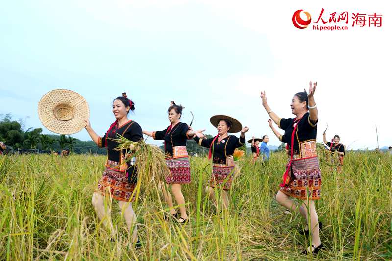 当地群众载歌载舞庆祝山兰稻丰收。人民网记者 符武平摄