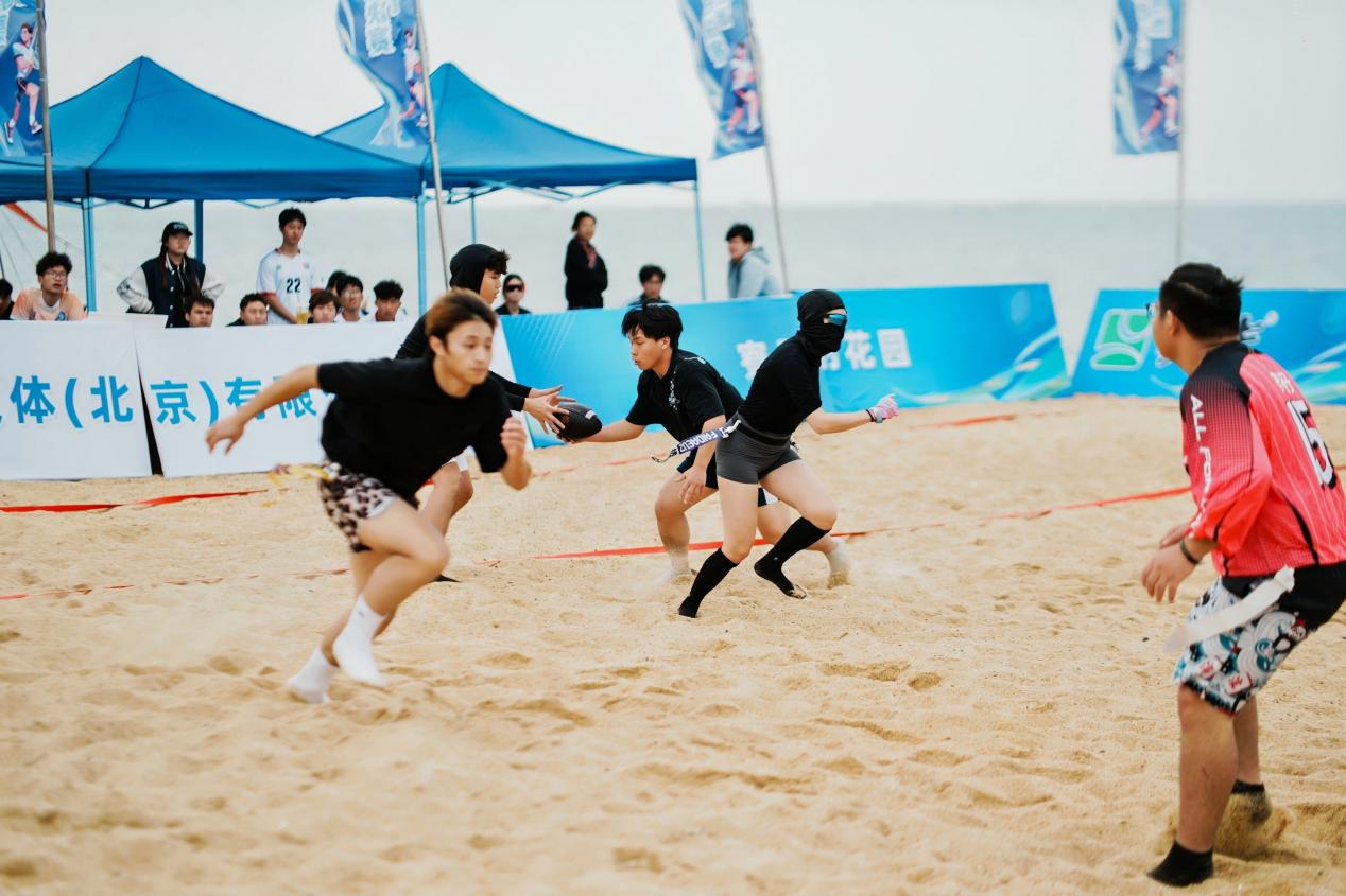 2379181ff6635a203006b717da26aeb6