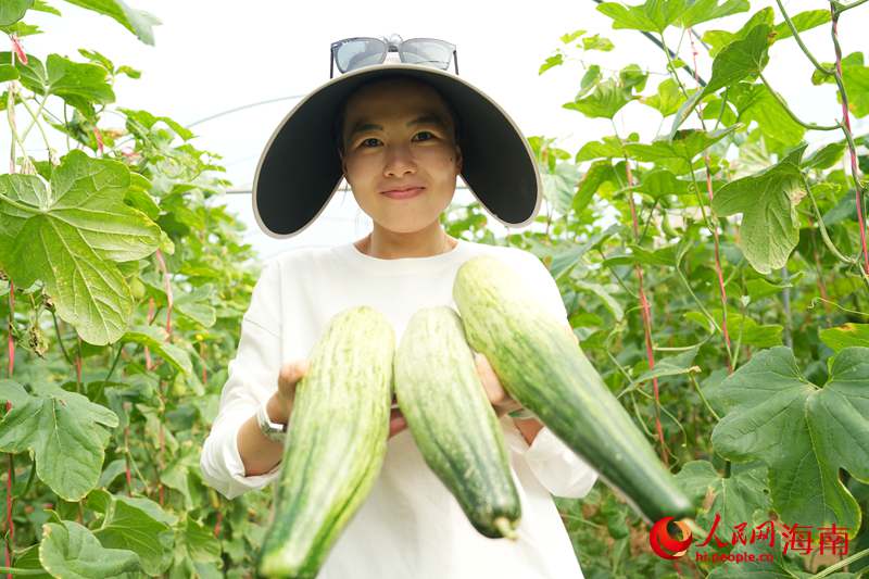 网络博主对昌江羊角蜜爱不释手。人民网记者 符武平摄