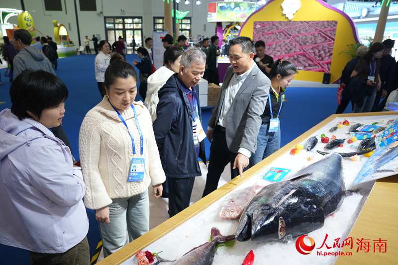 展台上,来自陵水的一条大型金枪鱼吸引客商的目光,在现场将举行“开鱼秀”。