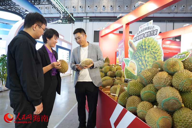 当天,借助海南自由贸易港政策,海南丰观实业集团有限公司首批马来西亚猫山王榴莲顺利登陆海南冬交会。人民网记者 符武平摄
